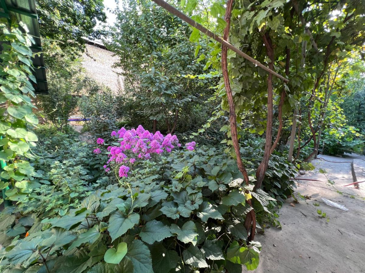 Lovely Home Osh Exterior foto